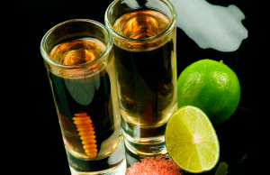 TOP 5: Mezcalerías en Puebla Mezcalerías en Puebla