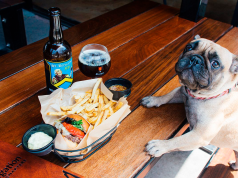 ¿Qué restaurantes pet friendly visitar en Puebla? restaurantes pet friendly