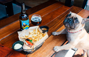 ¿Qué restaurantes pet friendly visitar en Puebla? restaurantes pet friendly
