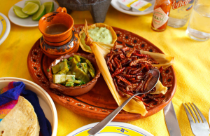 Top 6: Los platillos más exóticos de México platillos más exóticos de méxico
