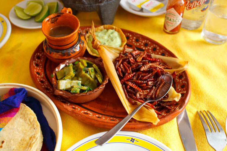 Top 6: Los platillos más exóticos de México