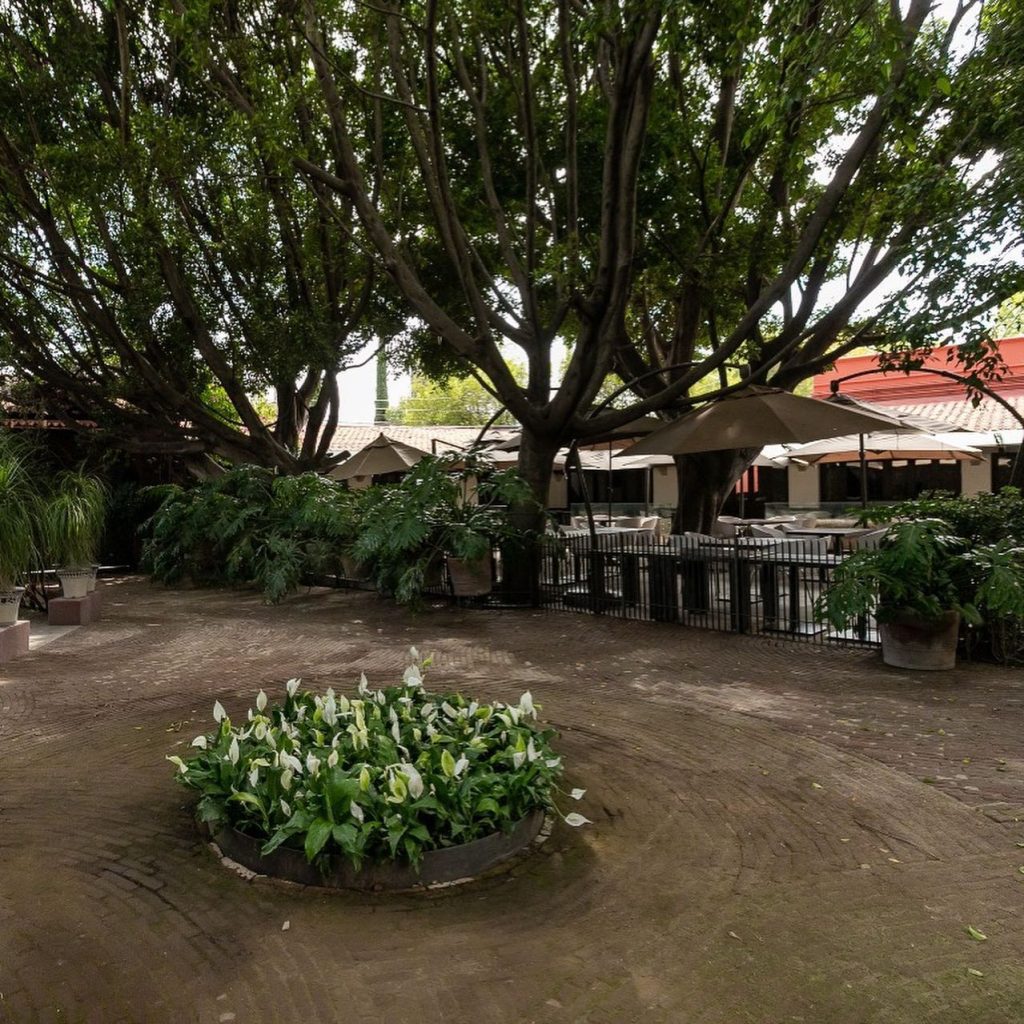 Restaurante La Noria Ex Hacienda