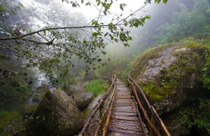 Honey, el paraíso de Puebla que cuenta con 10 cascadas Honey Puebla