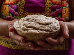 Conoce cuáles son las bebidas tradicionales de México bebidas tradicionales de méxico