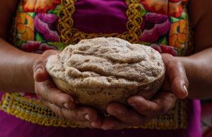 Conoce cuáles son las bebidas tradicionales de México bebidas tradicionales de méxico
