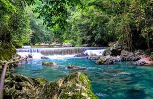 Biósfera El Cielo, el tesoro de Tamaulipas biósfera el cielo