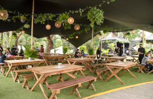 5 razones para visitar la Terraza Gastronómica Citibanamex terraza gastronómica citibanamex