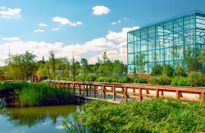 Top 6: Lugares en CDMX para olvidar el estrés CDMX