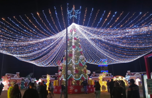 5 razones para no perderte el Brilla Fest brilla fest