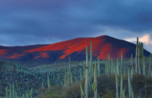 Top 5: Maravillas naturales en Puebla maravillas naturales puebla