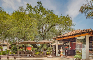 Top 10: Restaurantes en Cholula que valen la pena restaurantes en cholula