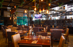 Top 10: Restaurantes en La Paz Puebla que debes visitar restaurantes La Paz Puebla