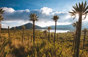 4 páramos colombianos para hacer turismo consciente 4 páramos colombianos para hacer turismo consciente