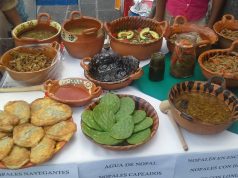 5 razones para ir a la Feria del Nopal de Tlaxcalancingo 5 razones para ir a la Feria del Nopal de Tlaxcalancingo