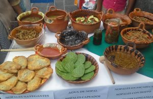 5 razones para ir a la Feria del Nopal de Tlaxcalancingo 5 razones para ir a la Feria del Nopal de Tlaxcalancingo