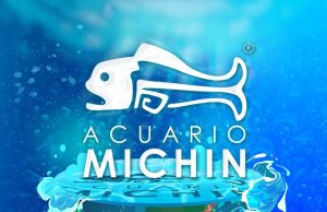 5 razones para ir al Acuario Michin 5 razones para ir al Acuario Michin