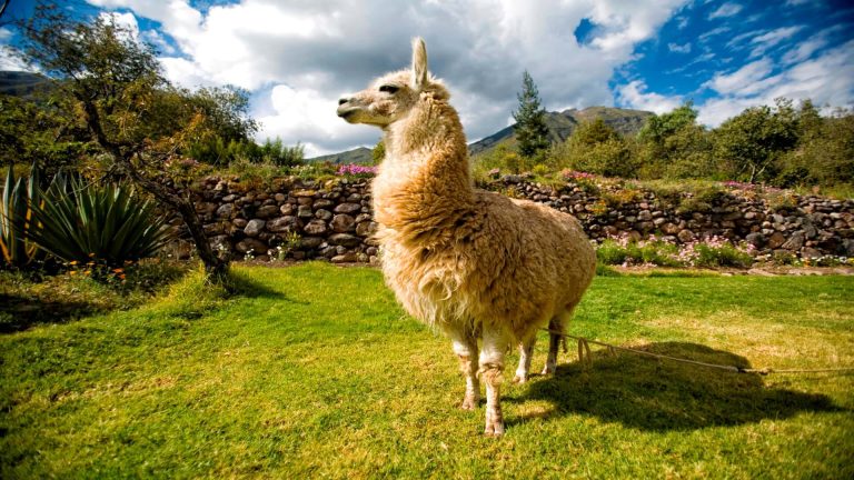Top de lugares asombrosos en Perú