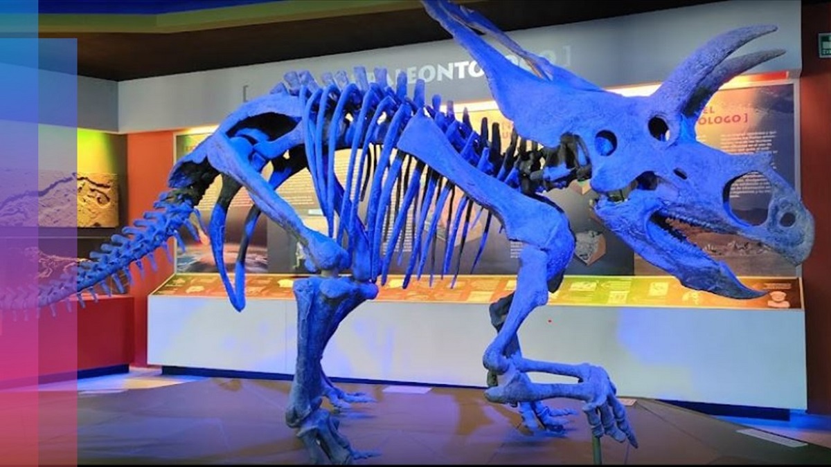5 museos donde puedes ver dinosaurios en México