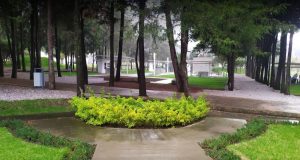 5 sitios gratuitos para un día de campo en Puebla 5 sitios gratuitos para un día de campo en Puebla