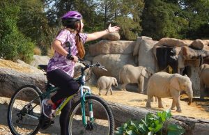 5 experiencias exclusivas para este finde en Africam Safari 5 experiencias exclusivas para este finde en Africam Safari, Recorrido en bicicleta