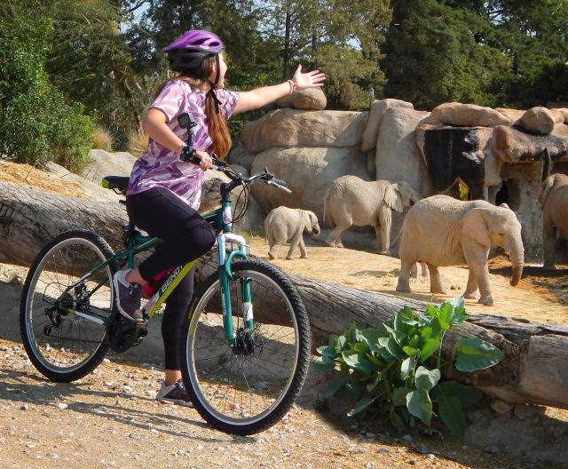5 experiencias exclusivas para este finde en Africam Safari, Recorrido en bicicleta