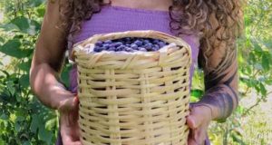 5 razones para que vayas al Berries Club Fest en Zacatlán 5 razones para que vayas al Berries Club Fest en Zacatlán