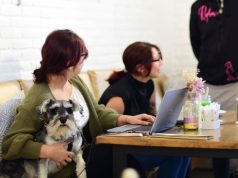 Día del perro: 8 lugares pet-friendly en Puebla Día del perro: 8 lugares pet-friendly en Puebla