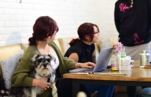 Día del perro: 8 lugares pet-friendly en Puebla Día del perro: 8 lugares pet-friendly en Puebla