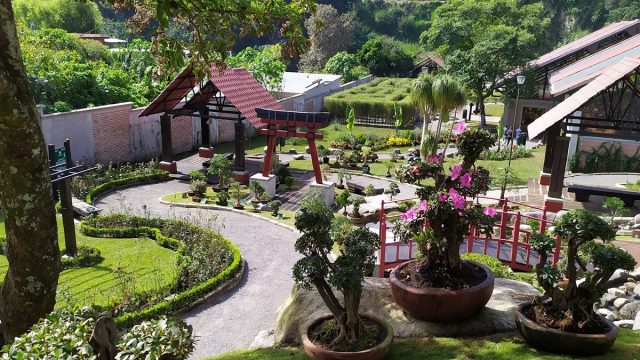 Jardín Botánico Biori Un imperdible en Orizaba