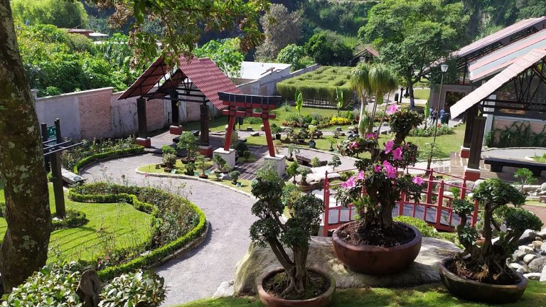 Jardín Botánico Biori: Un imperdible en Orizaba