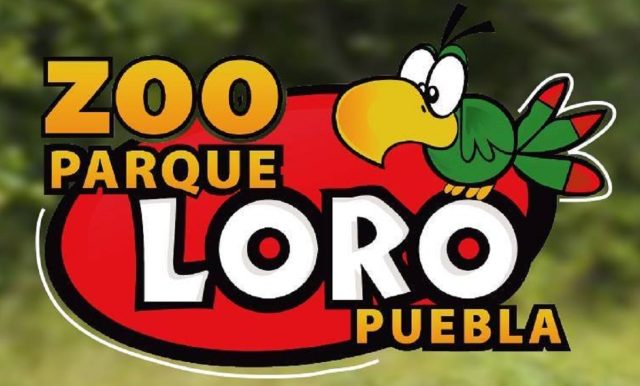 5 cosas que puedes disfrutar en Zoo Parque Loro Puebla