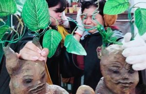 5 puntos mágicos de Había una vez: Tienda de Harry Potter en Puebla 5 puntos mágicos de Había una vez: Tienda de Harry Potter en Puebla