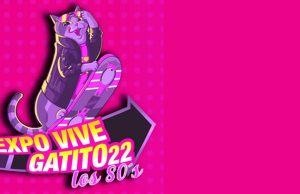 5 huellitas de michi sobre la Expo Vive Gatito de CDMX 🐾 5 huellitas de michi sobre la Expo Vive Gatito de CDMX