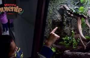 Top 5: Qué hacer y qué ver en el Museo Viviente de Puebla Top 5 Qué hacer y qué ver en el Museo Viviente de Puebla